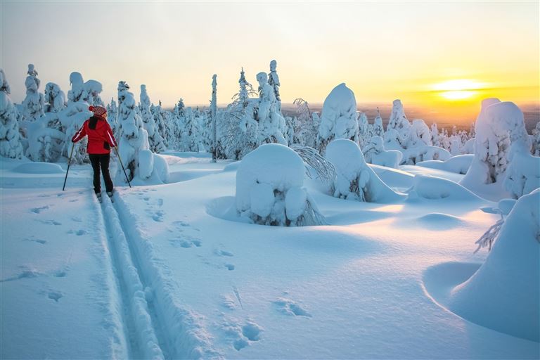 Erlebnisreise Lappland  ©Sitikka/istock